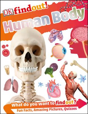 Book cover of DKfindout! Human Body