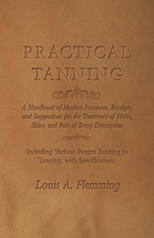 Cover of the book Practical Tanning by Walter Brett