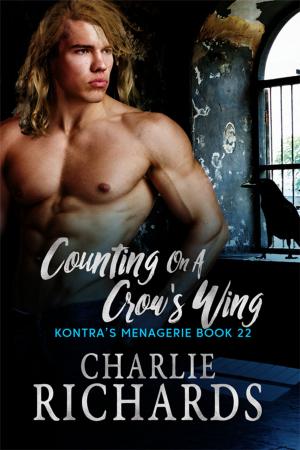 Cover of the book Counting on a Crow's Wing by D. J. Manly