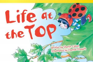 Cover of the book Life at the Top by Suzanne I. Barchers