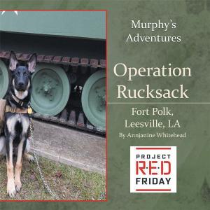 Cover of the book Operation Rucksack by Edwina Marino