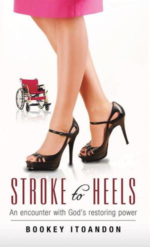Cover of the book Stroke to Heels by Jayne Gesner