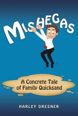 Cover of the book Mishegas by Anderson A. Jimmerson