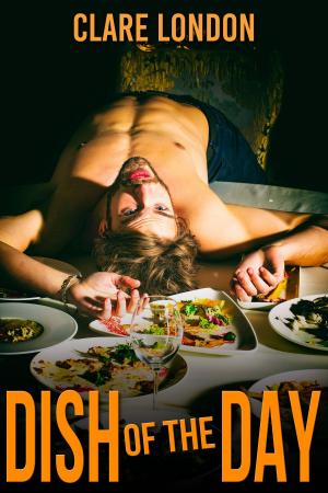 Cover of the book Dish of the Day by Sarah Hadley Brook