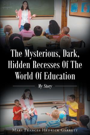 Book cover of The Mysterious, Dark, Hidden Recesses Of The World Of Education