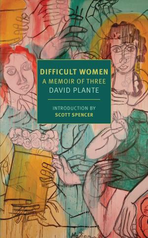 Cover of the book Difficult Women by John Williams