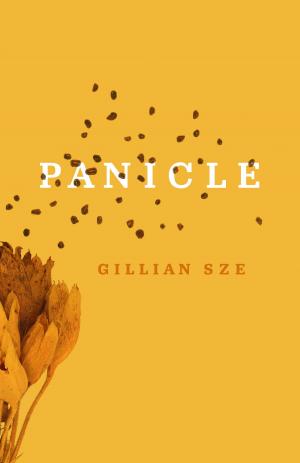 Cover of the book Panicle by Joe Schwarcz