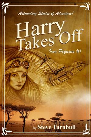 Cover of the book Harry Takes Off by Eva-Maude Calla