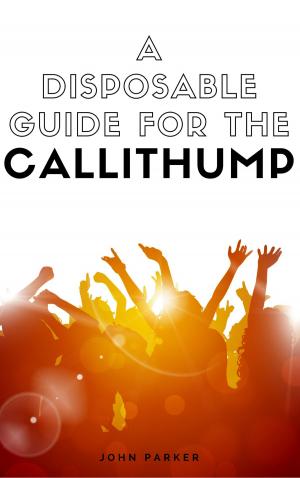 Cover of the book A Disposable Guide For The Callithump by Richard Brian Mahoney