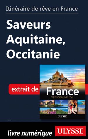 Cover of the book Itinéraire de rêve en France - Saveurs Aquitaine, Occitanie by Alain Legault