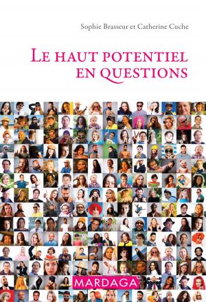 Cover of the book Le haut potentiel en questions by Jean-Luc Bernaud, Pierre Vrignaud