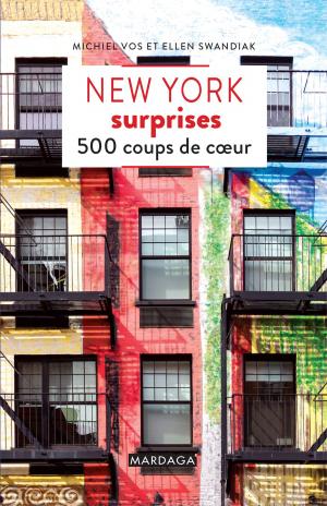 Cover of the book New York surprises by Jean-Marc Defays