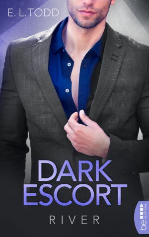 Cover of the book Dark Escort by Simon Borner