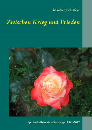 Cover of the book Zwischen Krieg und Frieden by Johanna Spyri