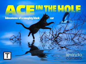 Cover of the book Ace in the Hole by Miryam Tamar