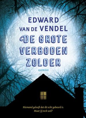Cover of the book De grote verboden zolder by Rob Ruggenberg