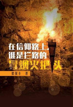 Cover of the book 在信仰路上，谁是拦路的冒烟火把头 by Dr. Todd M. Fink