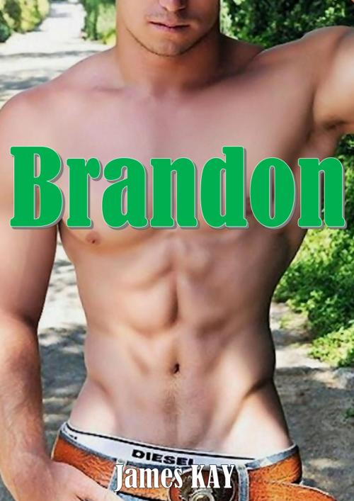 Cover of the book Brandon by James KAY, JK Edition