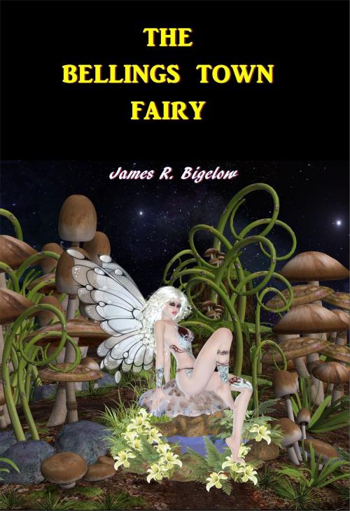 Cover of the book The Bellings Town Fairy by James R. Bigelow, Green Bird Press