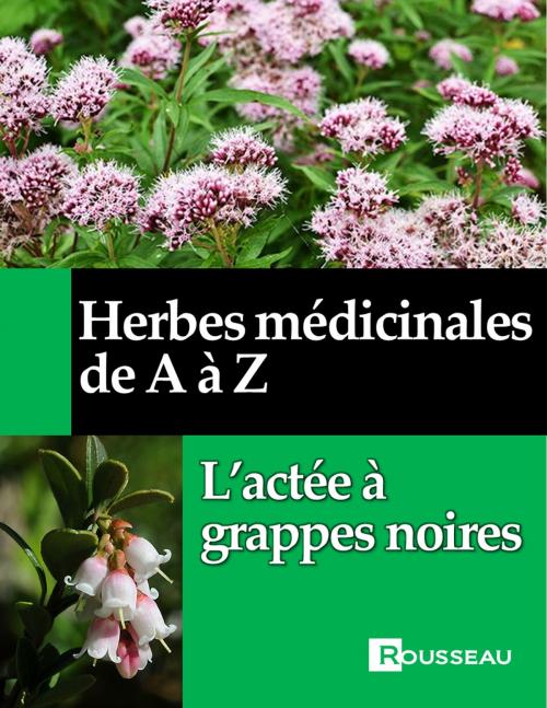 Cover of the book Herbes médicinales de A à Z by Mathieu Rousseau, Rousseau