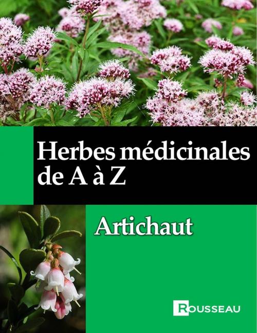 Cover of the book Herbes médicinales de A à Z by Mathieu Rousseau, Rousseau