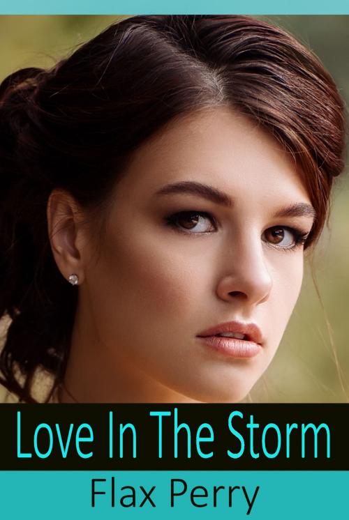 Cover of the book Love In The Storm by Flax Perry, PublishDrive