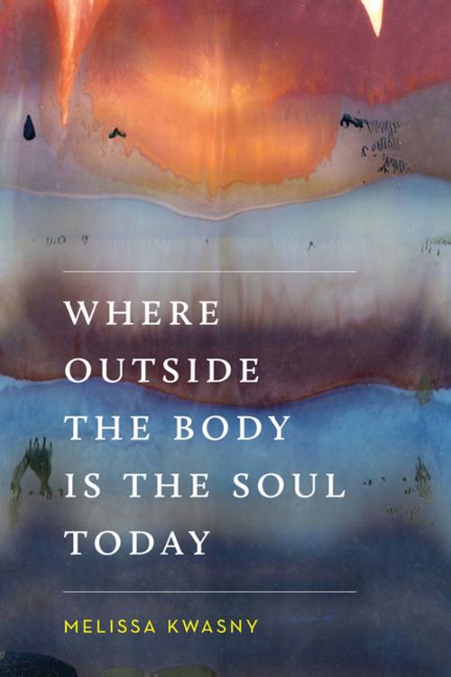 Cover of the book Where Outside the Body Is the Soul Today by Melissa Kwasny, University of Washington Press