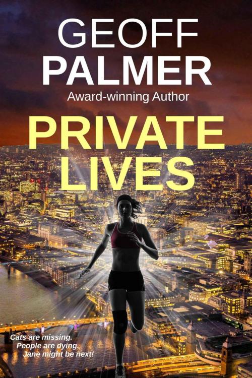 Cover of the book Private Lives by Geoff Palmer, Podsnap Publishing Ltd