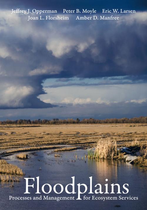 Cover of the book Floodplains by Jeffrey J. Opperman, Peter B. Moyle, Eric W. Larsen, Joan L. Florsheim, Amber D. Manfree, University of California Press