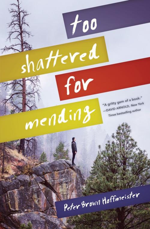 Cover of the book Too Shattered for Mending by Peter Brown Hoffmeister, Random House Children's Books