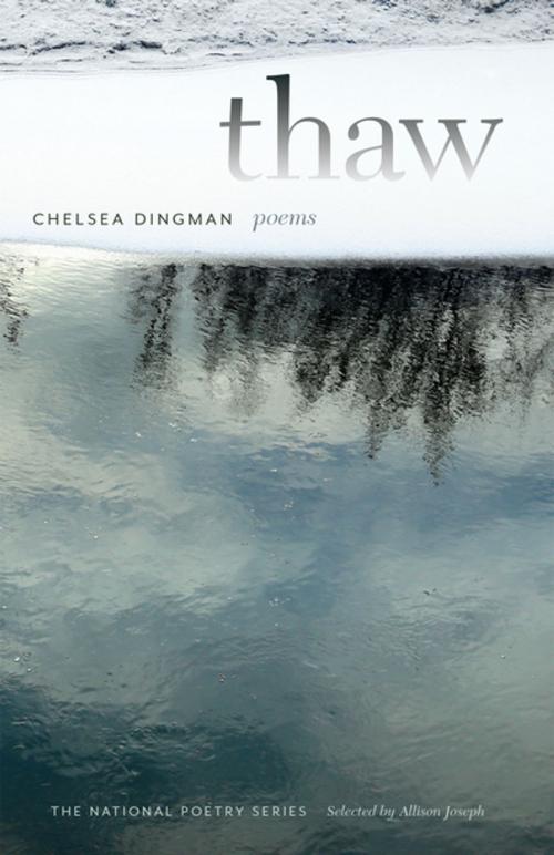 Cover of the book Thaw by Chelsea Dingman, University of Georgia Press