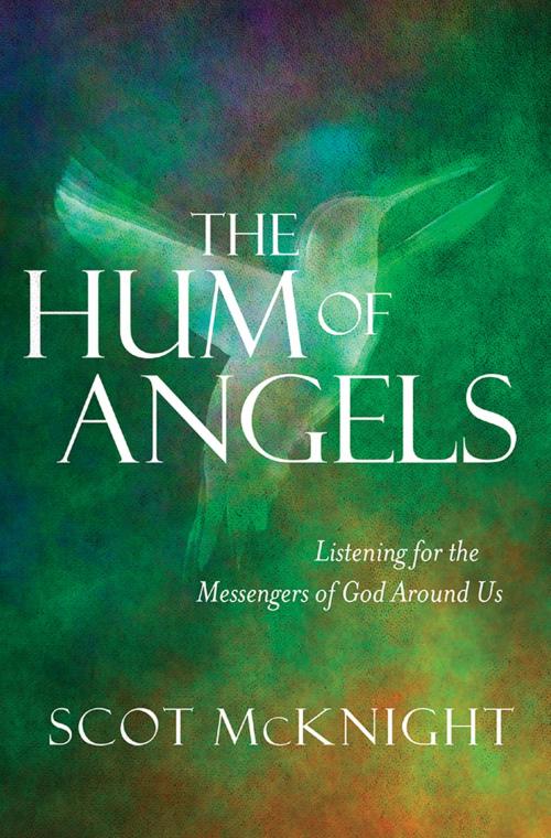 Cover of the book The Hum of Angels by Scot McKnight, Lion Hudson