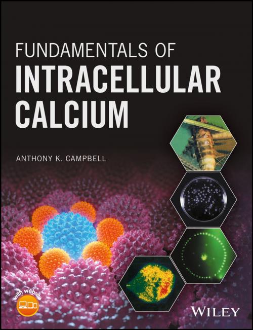 Cover of the book Fundamentals of Intracellular Calcium by Anthony K. Campbell, Wiley