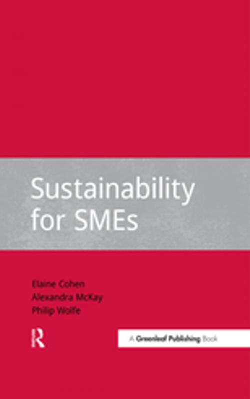 Cover of the book Sustainability for SMEs by Alexandra McKay, Philip Wolfe, Elaine Cohen, Taylor and Francis