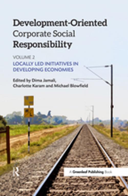 Cover of the book Development-Oriented Corporate Social Responsibility: Volume 2 by , Taylor and Francis