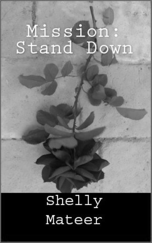 Cover of the book Mission: Stand Down by Shelly Mateer, Shelly Mateer