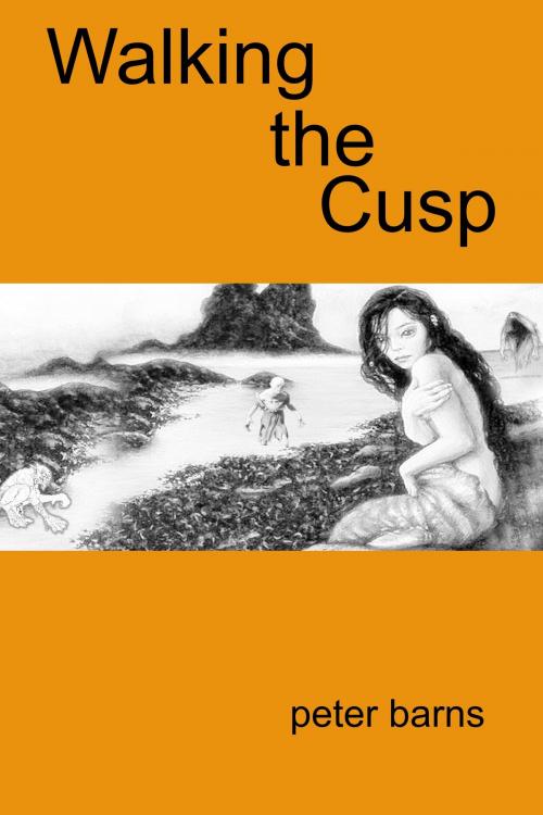 Cover of the book Walking the Cusp by Peter Barns, Peter Barns