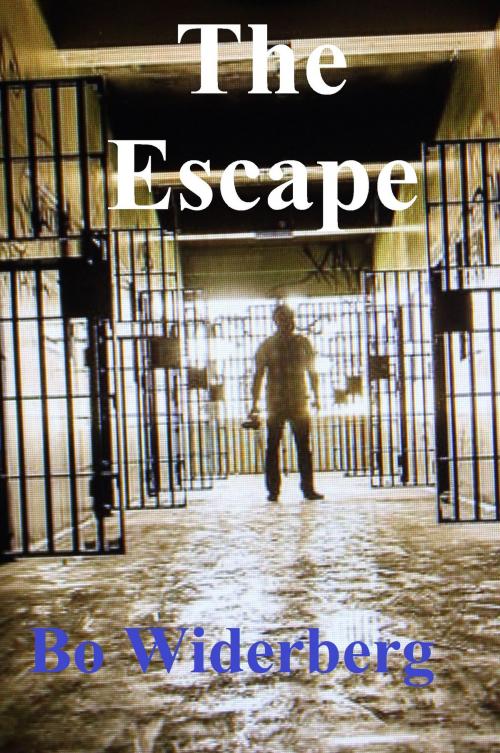 Cover of the book The Escape by Bo Widerberg, Bo Widerberg