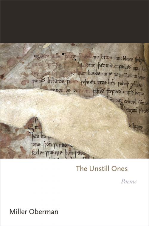 Cover of the book The Unstill Ones by Miller Oberman, Princeton University Press