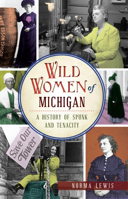 Cover of the book Wild Women of Michigan by Norma Lewis, Arcadia Publishing Inc.