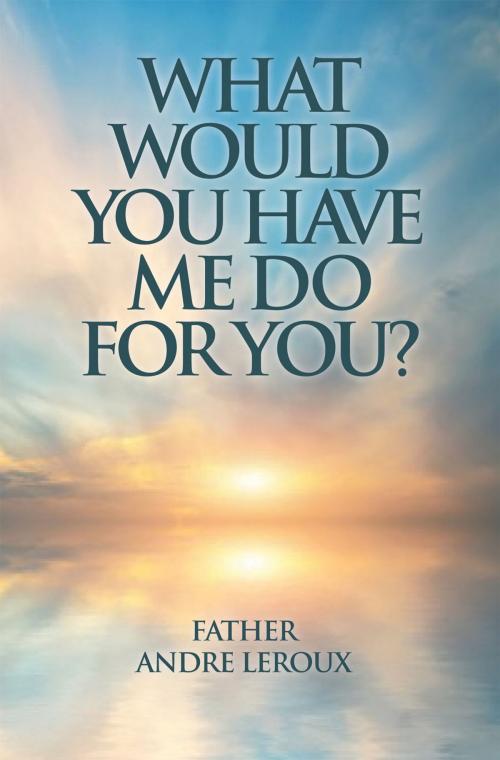 Cover of the book What Would You Have Me Do For You? by Father Andre Leroux, Essence Publishing