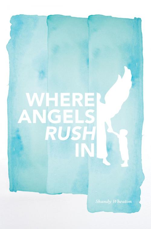 Cover of the book Where Angels Rush In by Shandy Wheaton, Essence Publishing