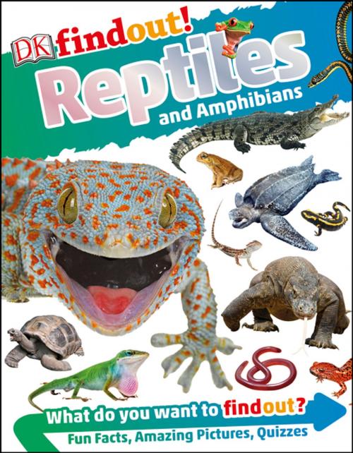 Cover of the book DKfindout! Reptiles and Amphibians by DK, DK Publishing