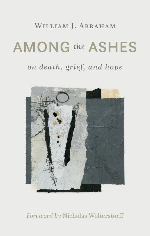 Cover of the book Among the Ashes by William J. Abraham, Wm. B. Eerdmans Publishing Co.