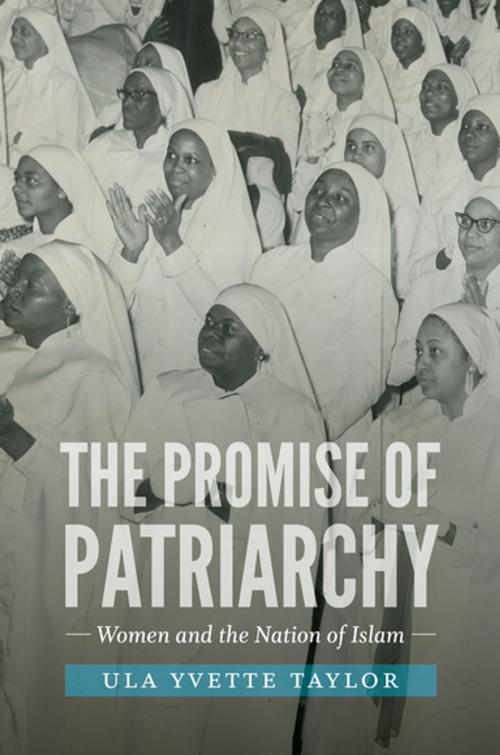 Cover of the book The Promise of Patriarchy by Ula Yvette Taylor, The University of North Carolina Press