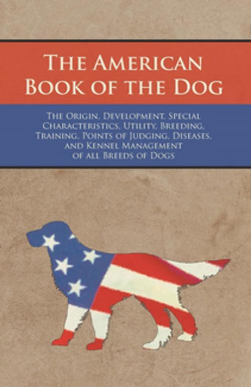 Cover of the book The American Book of the Dog - The Origin, Development, Special Characteristics, Utility, Breeding, Training, Points of Judging, Diseases, and Kennel Management of all Breeds of Dogs by Authors Various, Read Books Ltd.