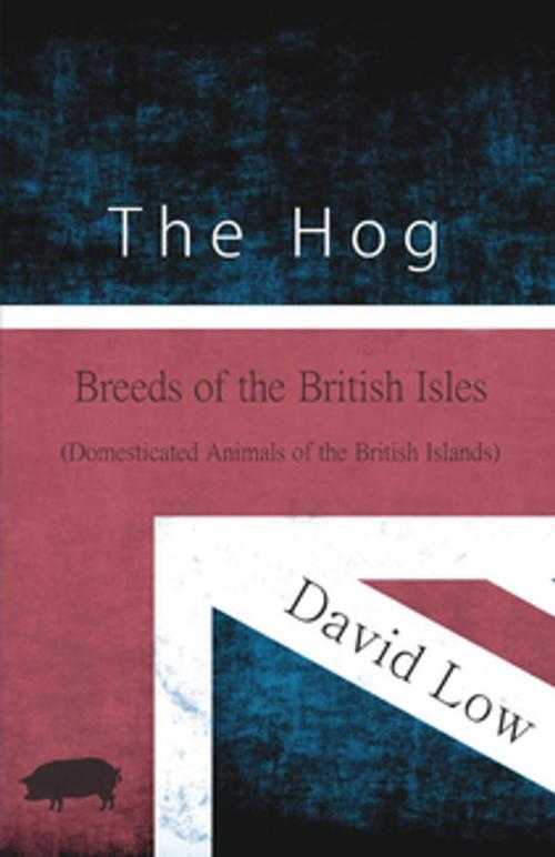 Cover of the book The Hog - Breeds of the British Isles (Domesticated Animals of the British Islands) by David Low, Read Books Ltd.