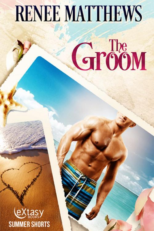 Cover of the book The Groom by Renee Matthews, eXtasy Books Inc