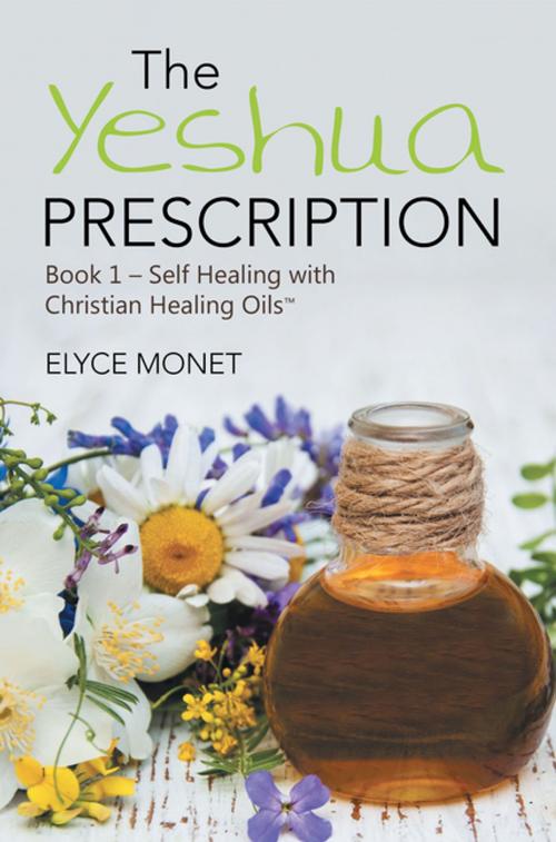 Cover of the book The Yeshua Prescription by Elyce Monet, Balboa Press