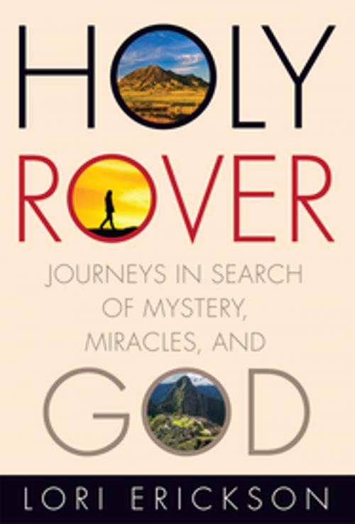 Cover of the book Holy Rover by Lori Erickson, Fortress Press